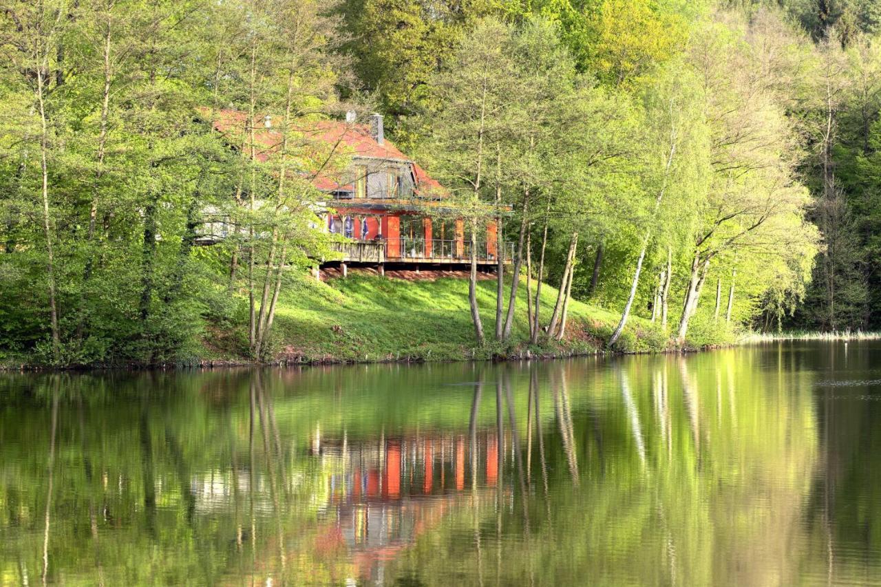 Ferienwohnungen & Campingfaesser Am Kunstteich Wettelrode Экстерьер фото